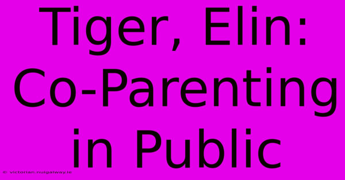 Tiger, Elin: Co-Parenting In Public