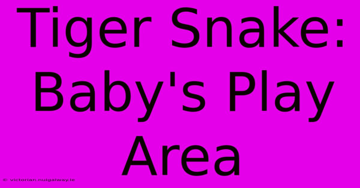 Tiger Snake: Baby's Play Area