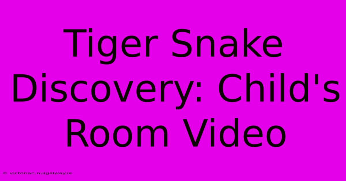 Tiger Snake Discovery: Child's Room Video