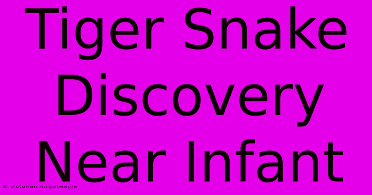 Tiger Snake Discovery Near Infant