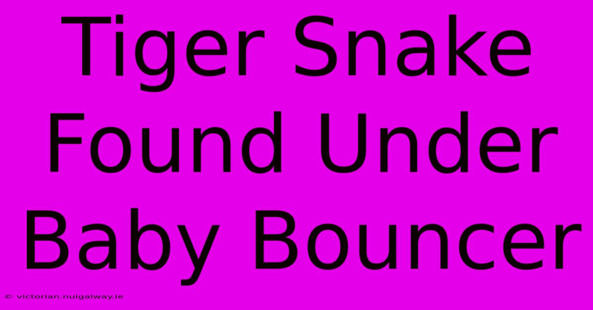 Tiger Snake Found Under Baby Bouncer