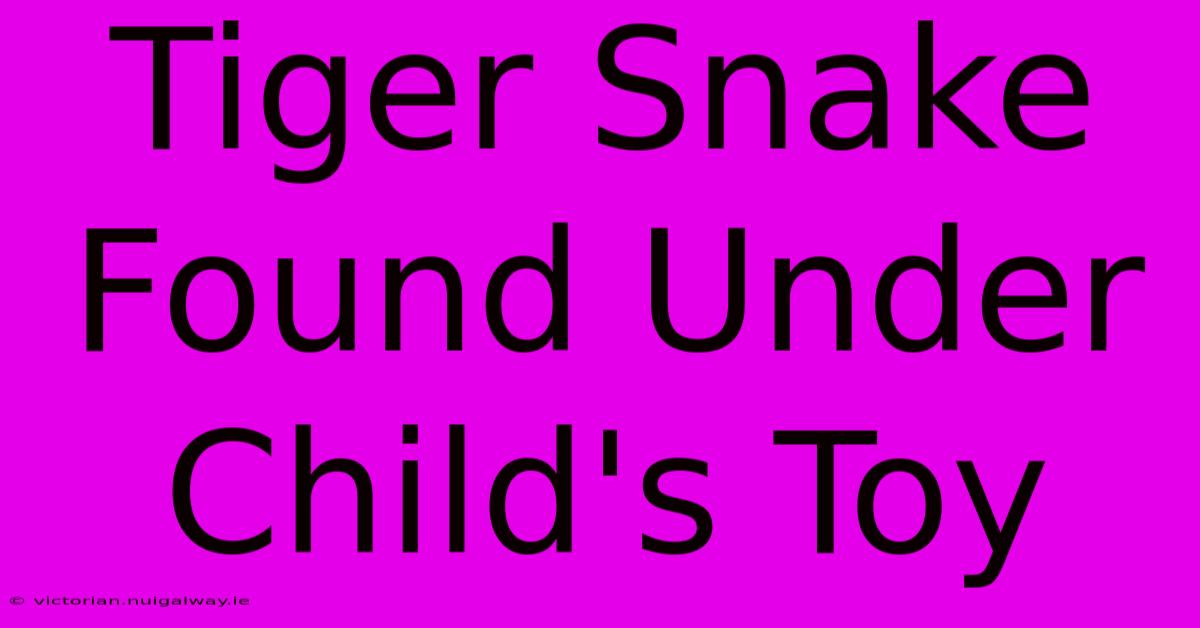 Tiger Snake Found Under Child's Toy