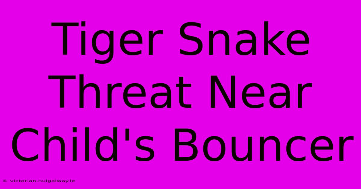 Tiger Snake Threat Near Child's Bouncer