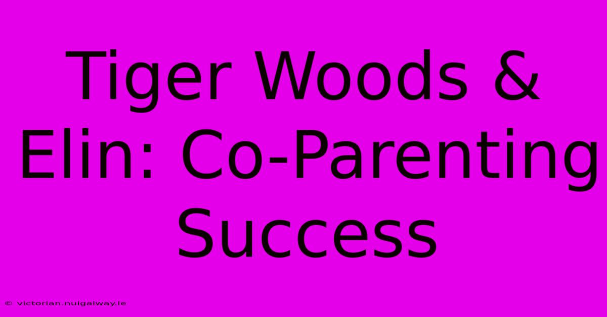 Tiger Woods & Elin: Co-Parenting Success