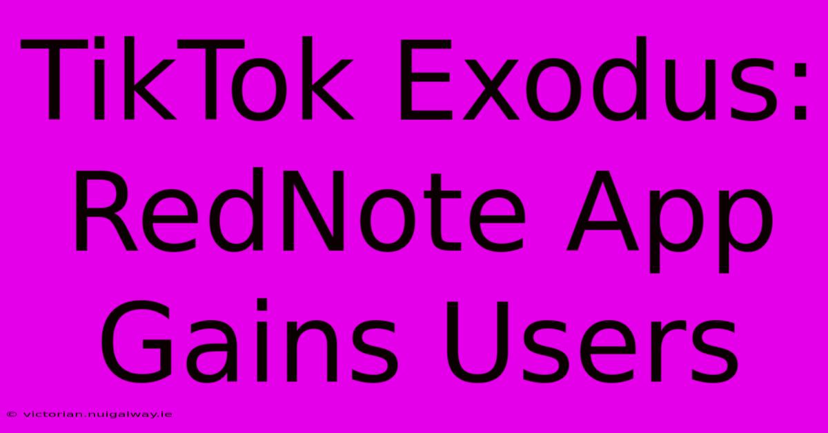 TikTok Exodus: RedNote App Gains Users