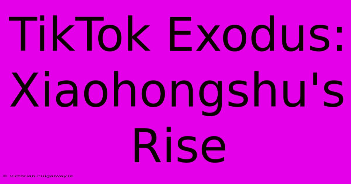 TikTok Exodus: Xiaohongshu's Rise