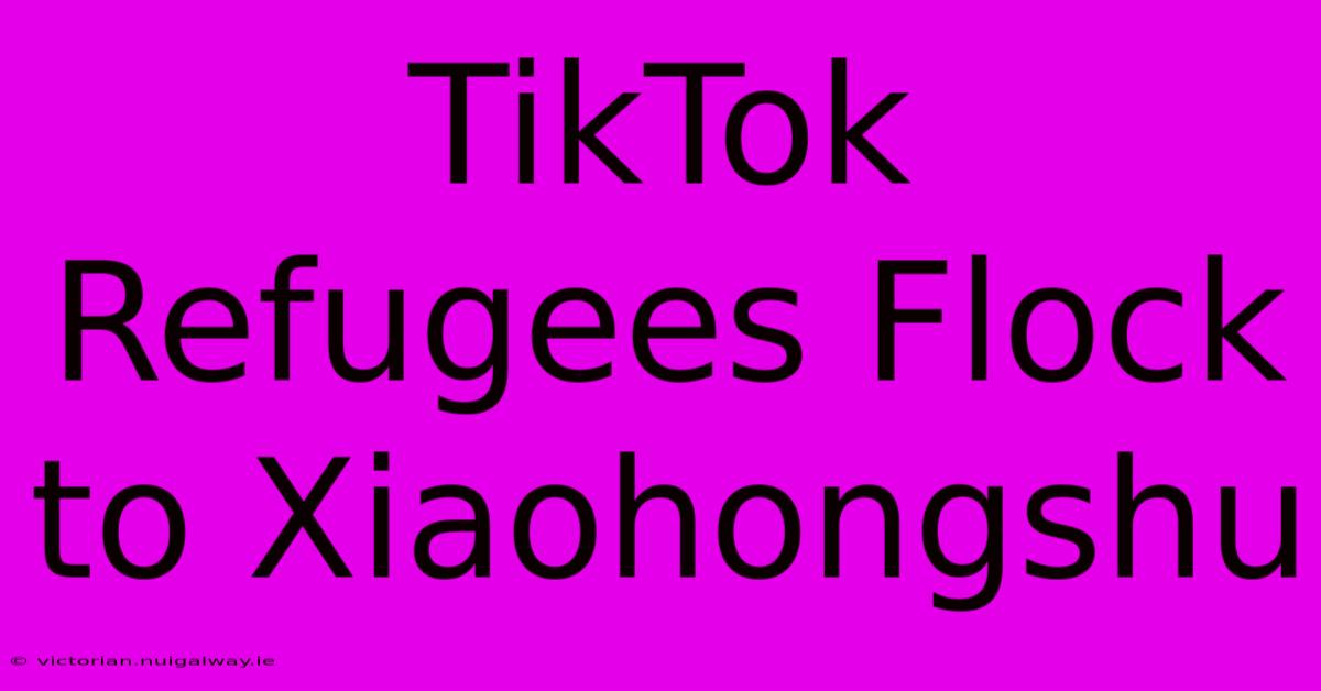 TikTok Refugees Flock To Xiaohongshu