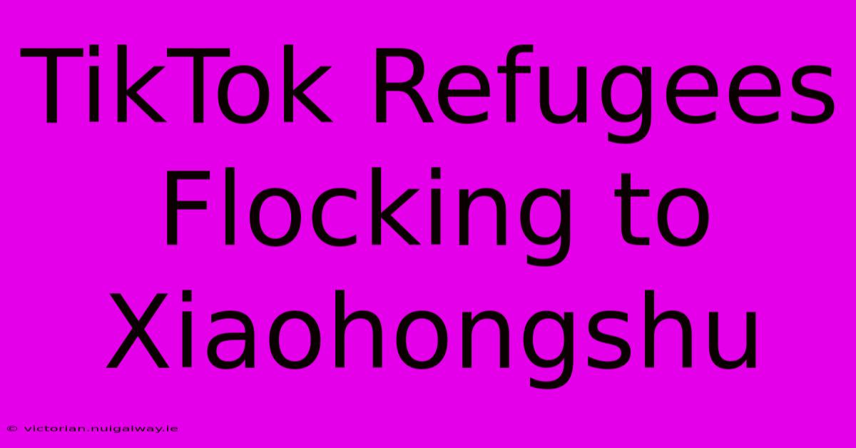 TikTok Refugees Flocking To Xiaohongshu