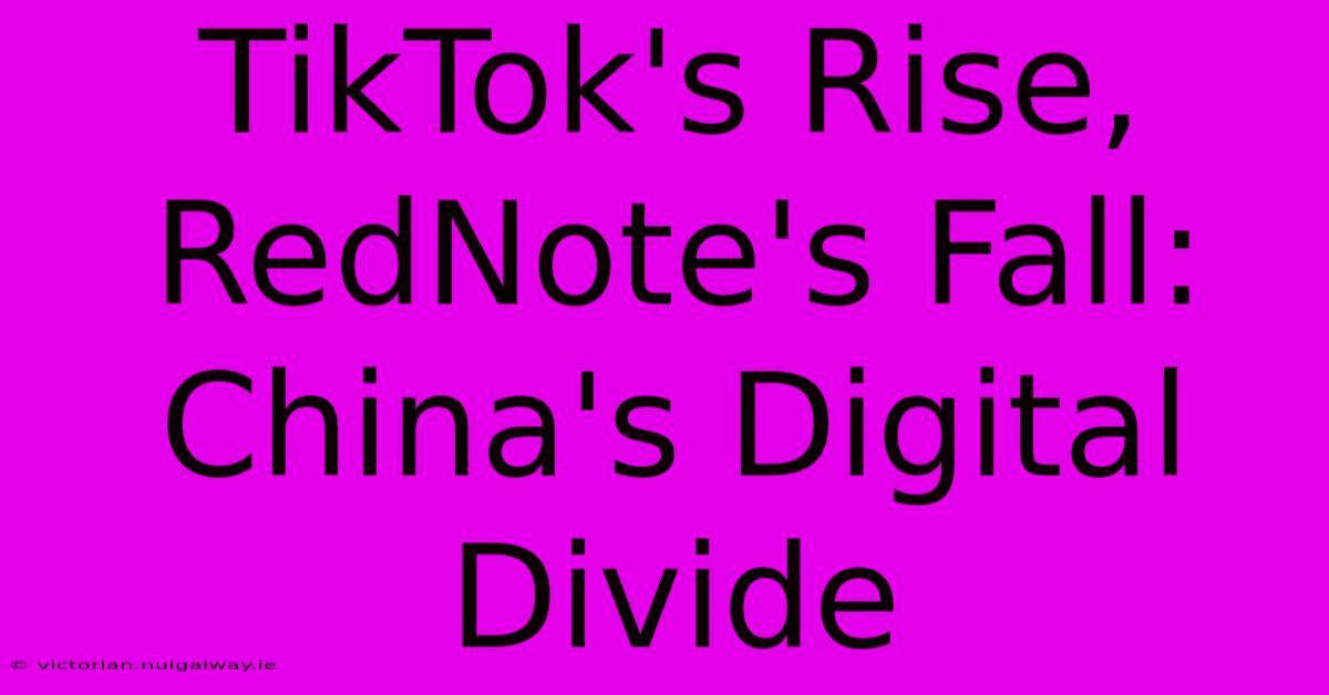 TikTok's Rise, RedNote's Fall: China's Digital Divide