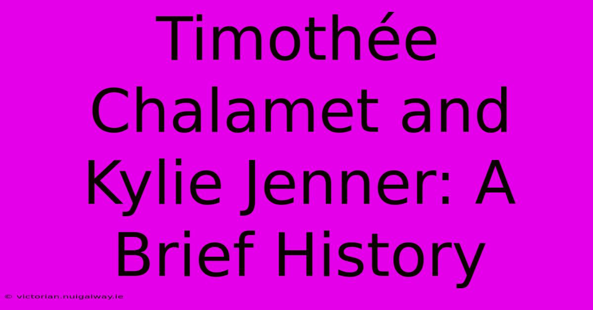 Timothée Chalamet And Kylie Jenner: A Brief History