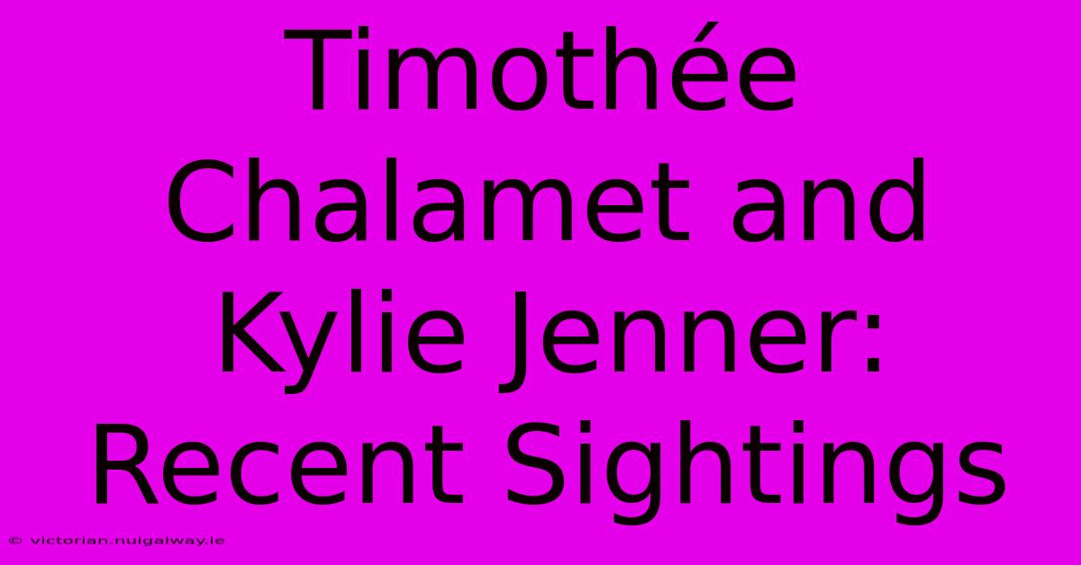 Timothée Chalamet And Kylie Jenner: Recent Sightings