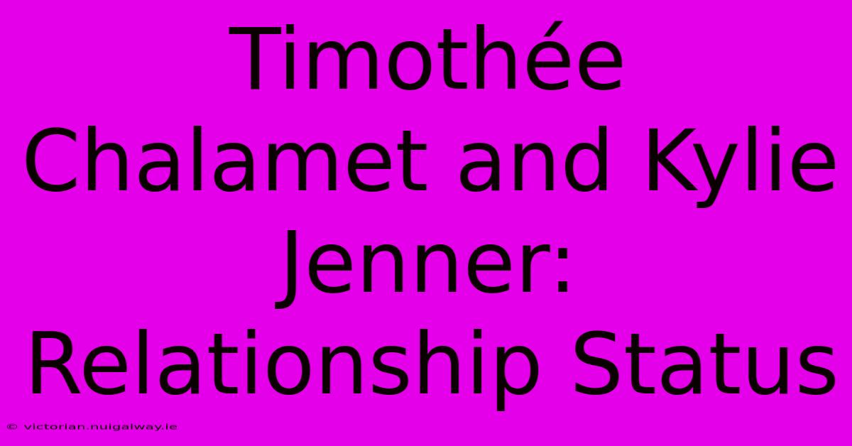 Timothée Chalamet And Kylie Jenner: Relationship Status