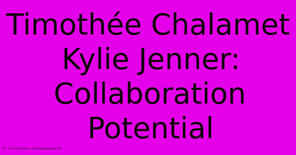 Timothée Chalamet Kylie Jenner: Collaboration Potential