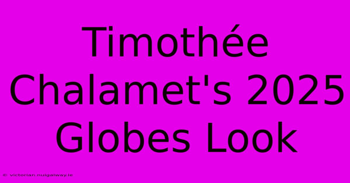 Timothée Chalamet's 2025 Globes Look