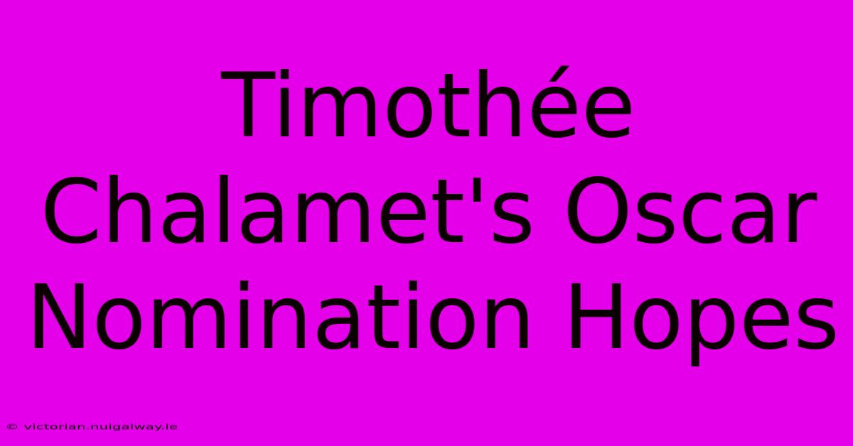 Timothée Chalamet's Oscar Nomination Hopes