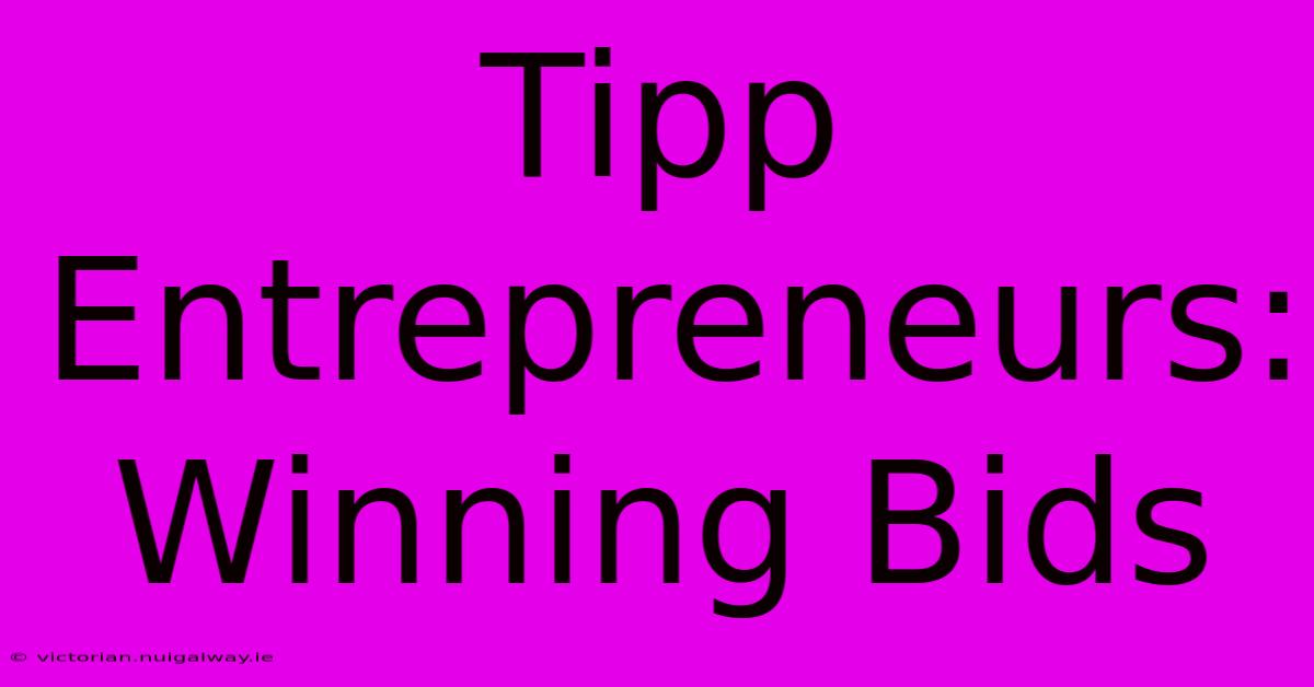 Tipp Entrepreneurs: Winning Bids