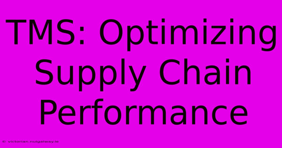 TMS: Optimizing Supply Chain Performance