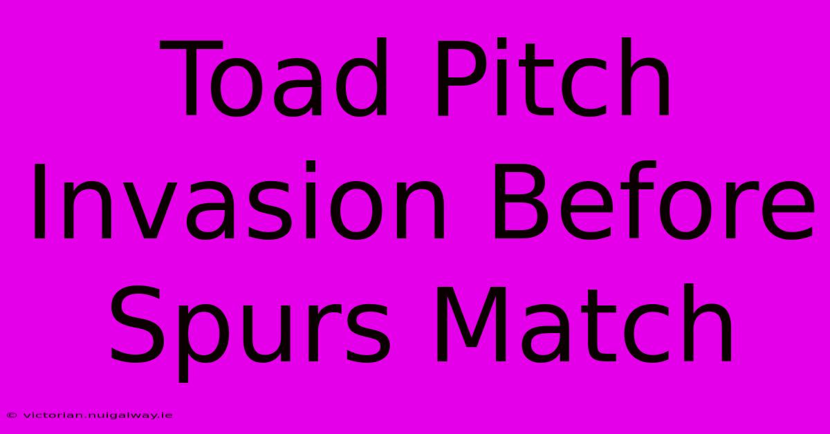 Toad Pitch Invasion Before Spurs Match