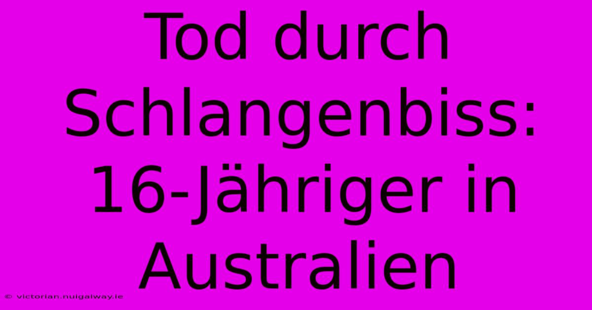 Tod Durch Schlangenbiss: 16-Jähriger In Australien