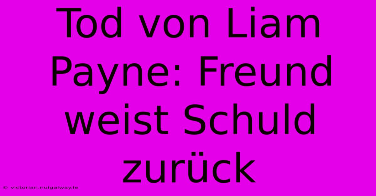 Tod Von Liam Payne: Freund Weist Schuld Zurück