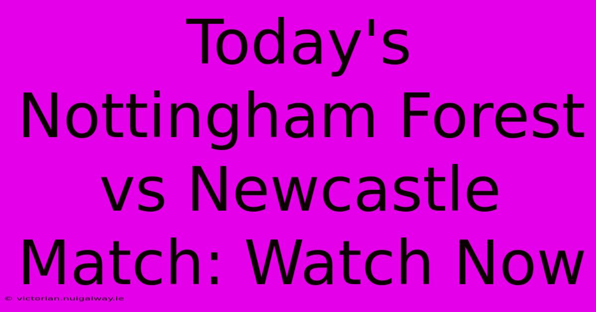 Today's Nottingham Forest Vs Newcastle Match: Watch Now 