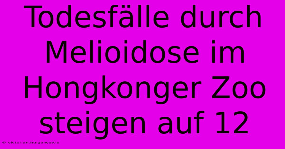 Todesfälle Durch Melioidose Im Hongkonger Zoo Steigen Auf 12
