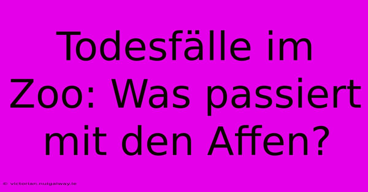 Todesfälle Im Zoo: Was Passiert Mit Den Affen?