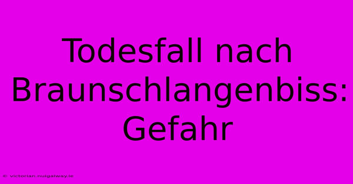 Todesfall Nach Braunschlangenbiss: Gefahr