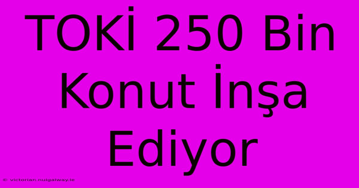 TOKİ 250 Bin Konut İnşa Ediyor 