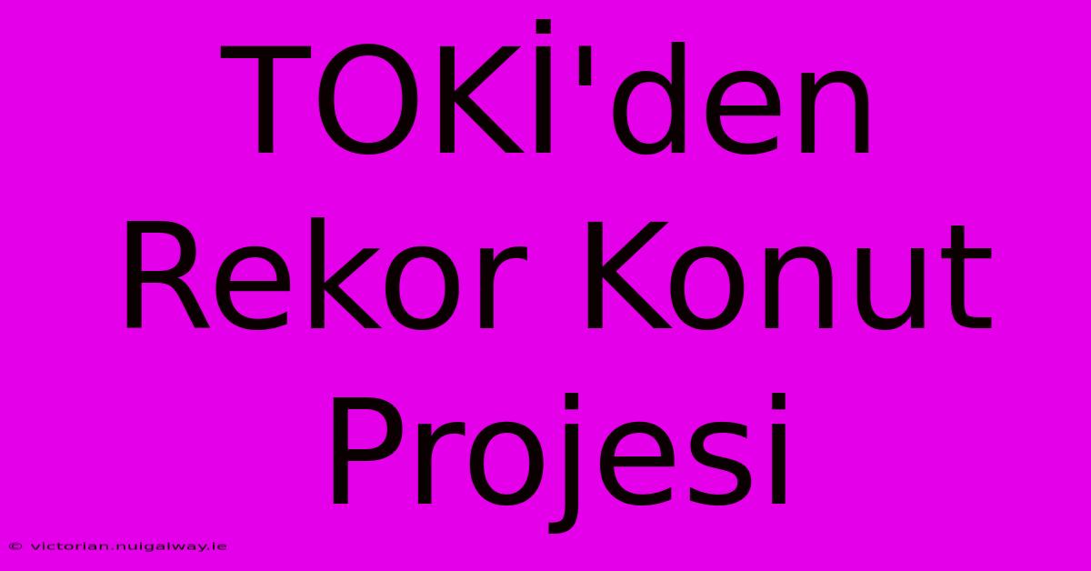 TOKİ'den Rekor Konut Projesi