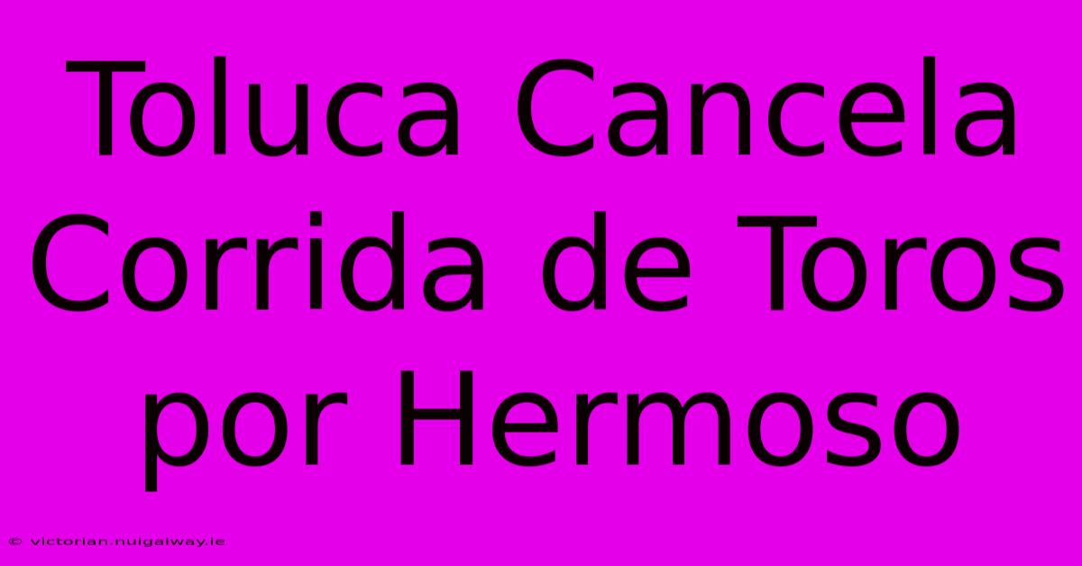 Toluca Cancela Corrida De Toros Por Hermoso
