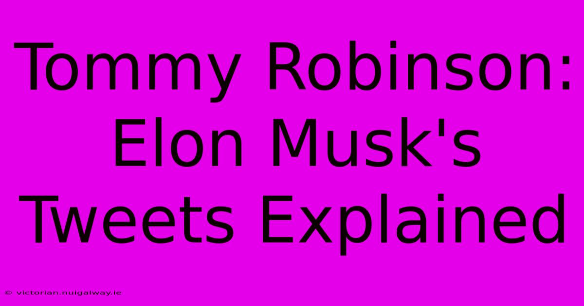 Tommy Robinson: Elon Musk's Tweets Explained