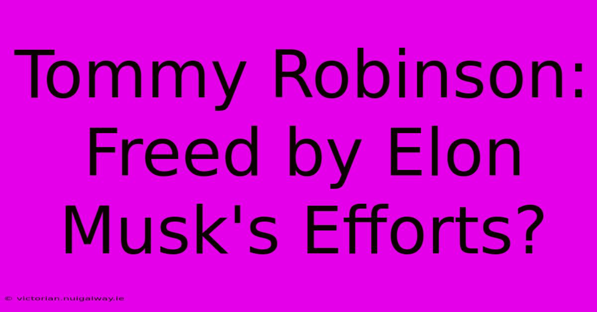 Tommy Robinson: Freed By Elon Musk's Efforts?