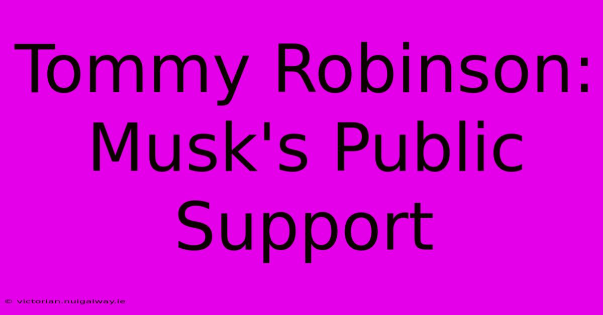 Tommy Robinson:  Musk's Public Support