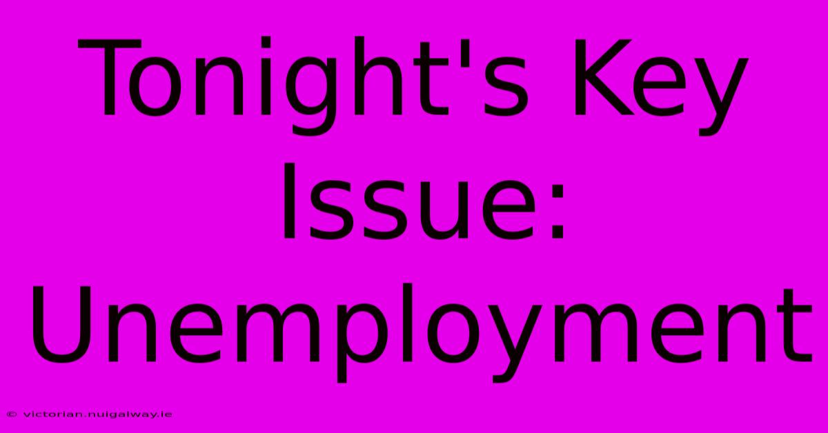 Tonight's Key Issue: Unemployment