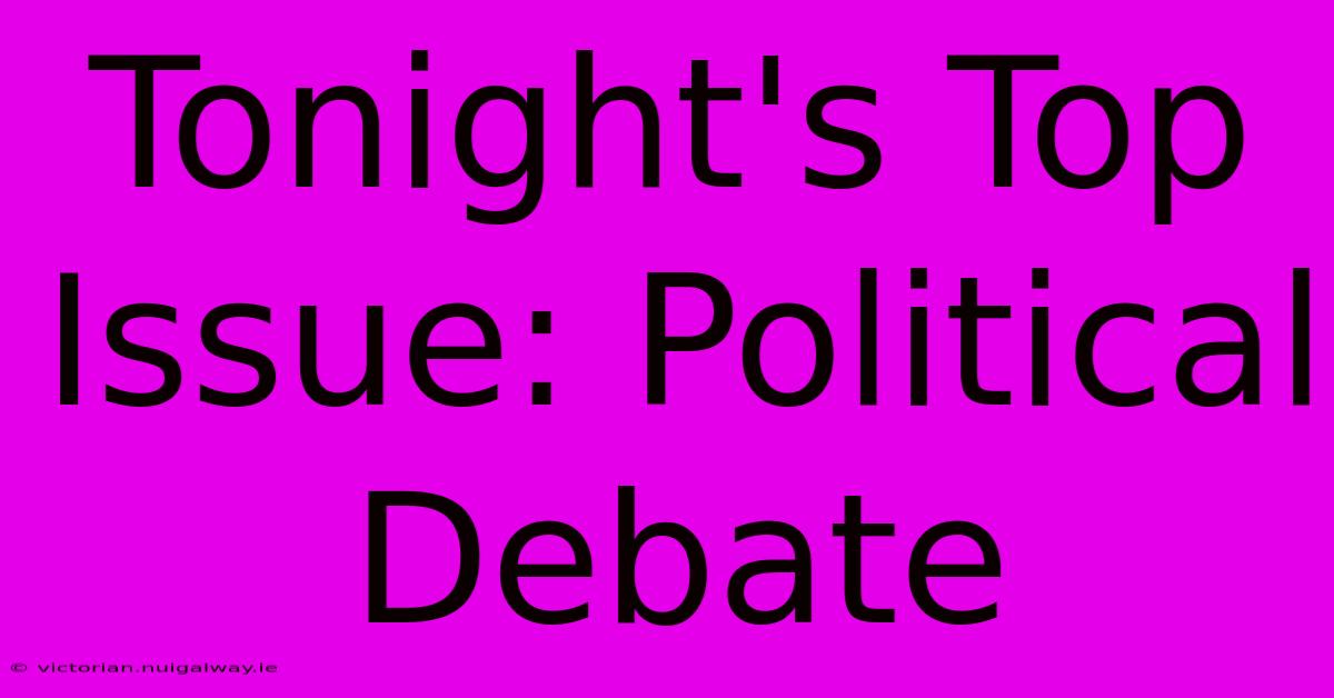 Tonight's Top Issue: Political Debate