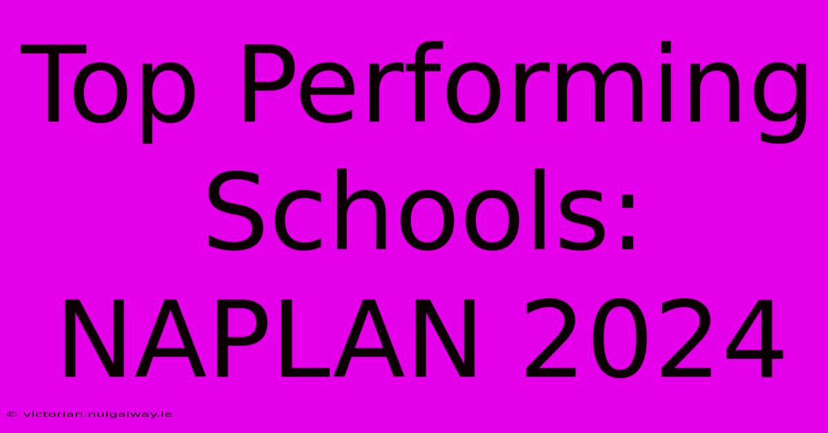 Top Performing Schools: NAPLAN 2024