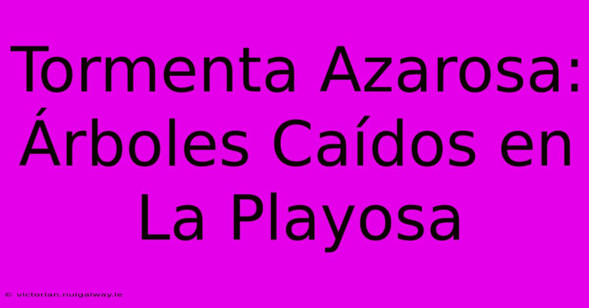 Tormenta Azarosa: Árboles Caídos En La Playosa