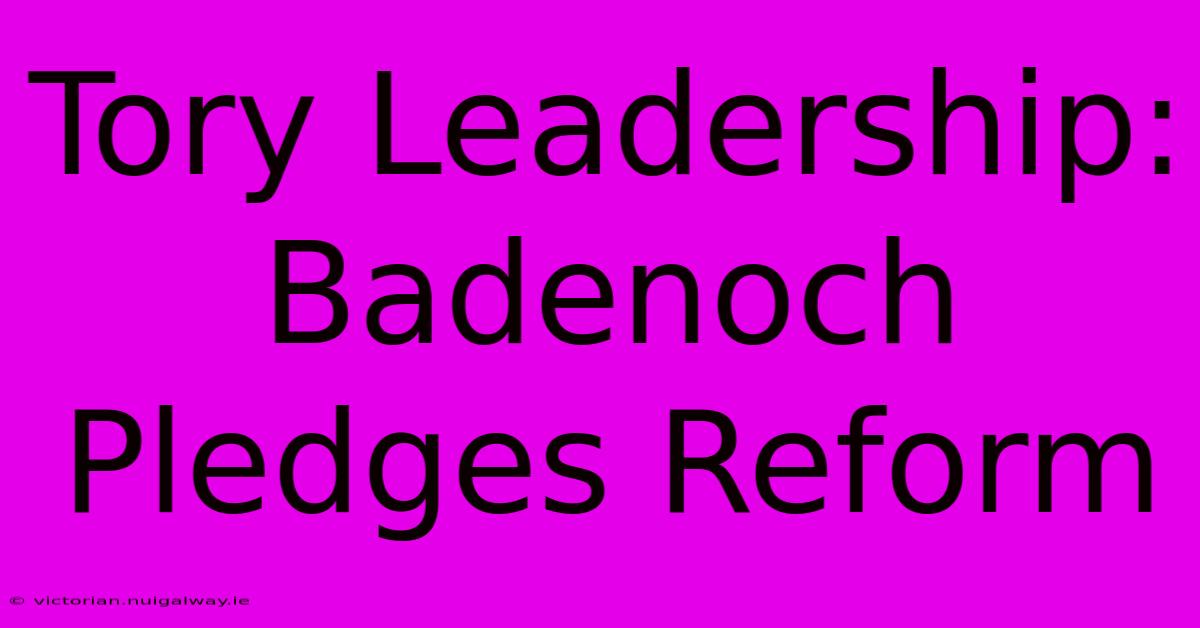 Tory Leadership: Badenoch Pledges Reform