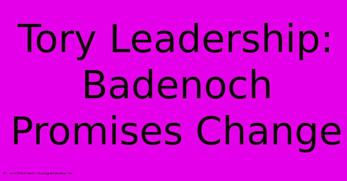 Tory Leadership: Badenoch Promises Change