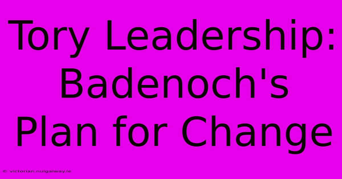 Tory Leadership: Badenoch's Plan For Change 