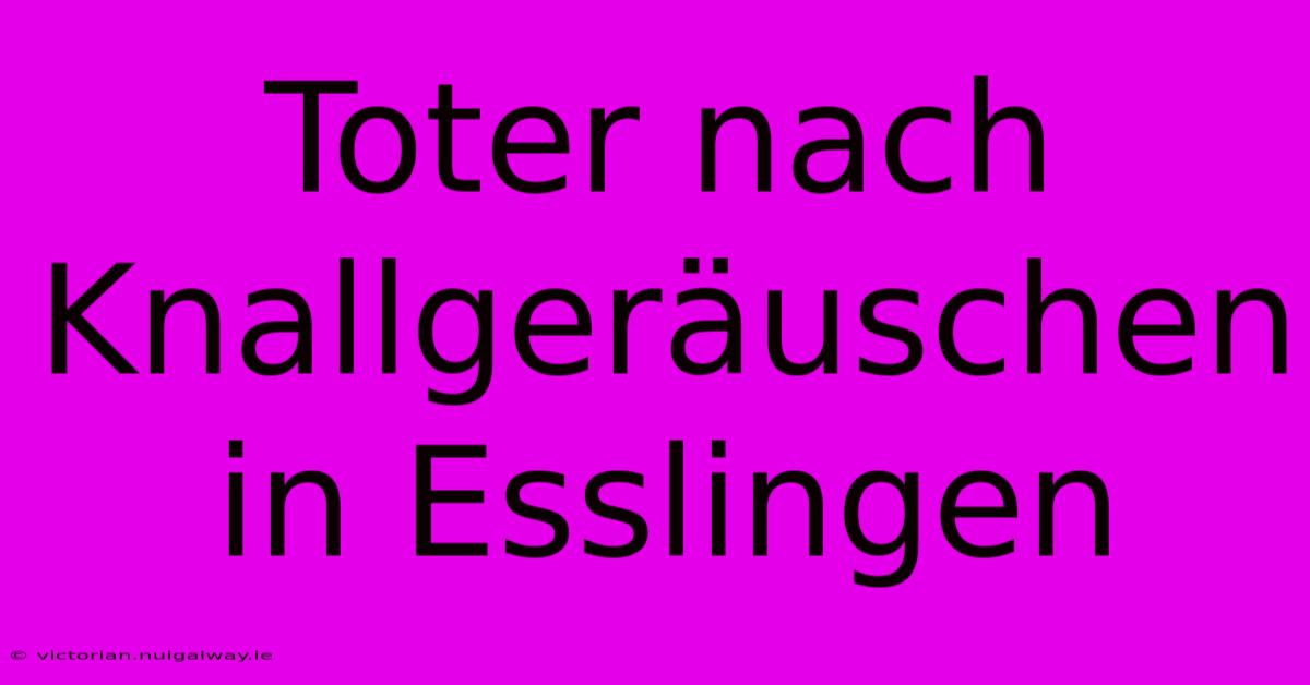 Toter Nach Knallgeräuschen In Esslingen