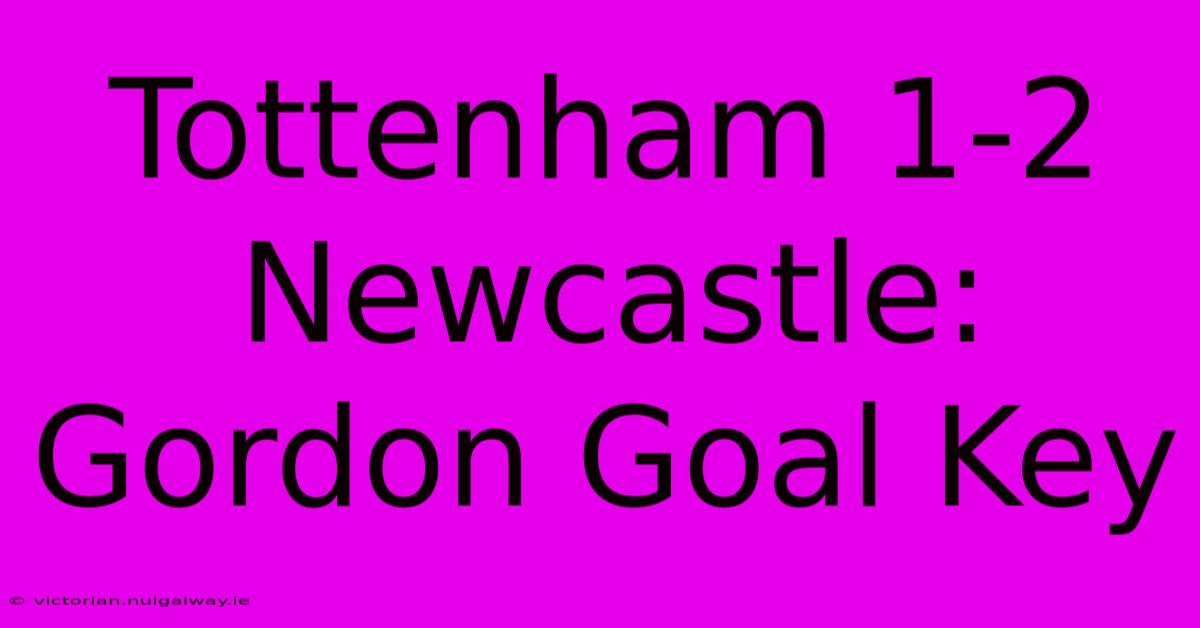 Tottenham 1-2 Newcastle:  Gordon Goal Key