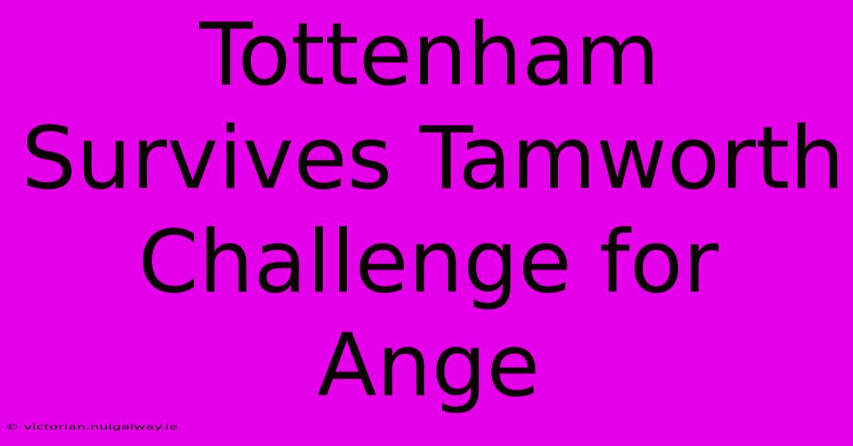 Tottenham Survives Tamworth Challenge For Ange