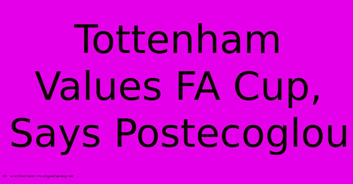 Tottenham Values FA Cup, Says Postecoglou