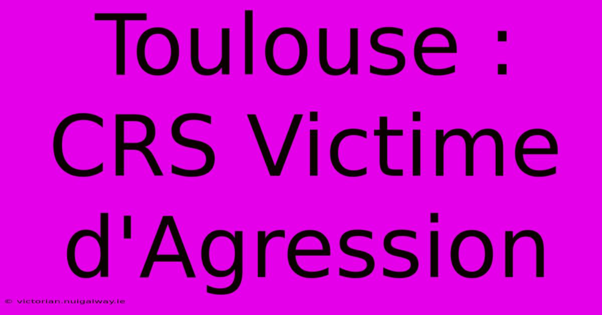 Toulouse : CRS Victime D'Agression 