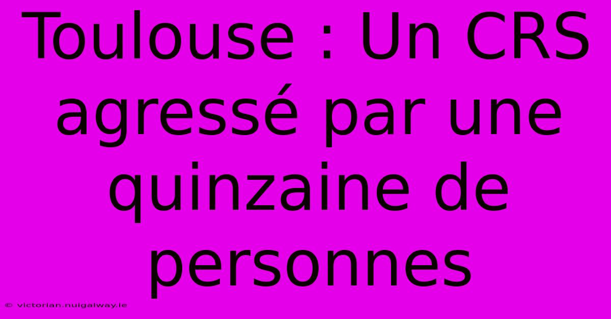 Toulouse : Un CRS Agressé Par Une Quinzaine De Personnes