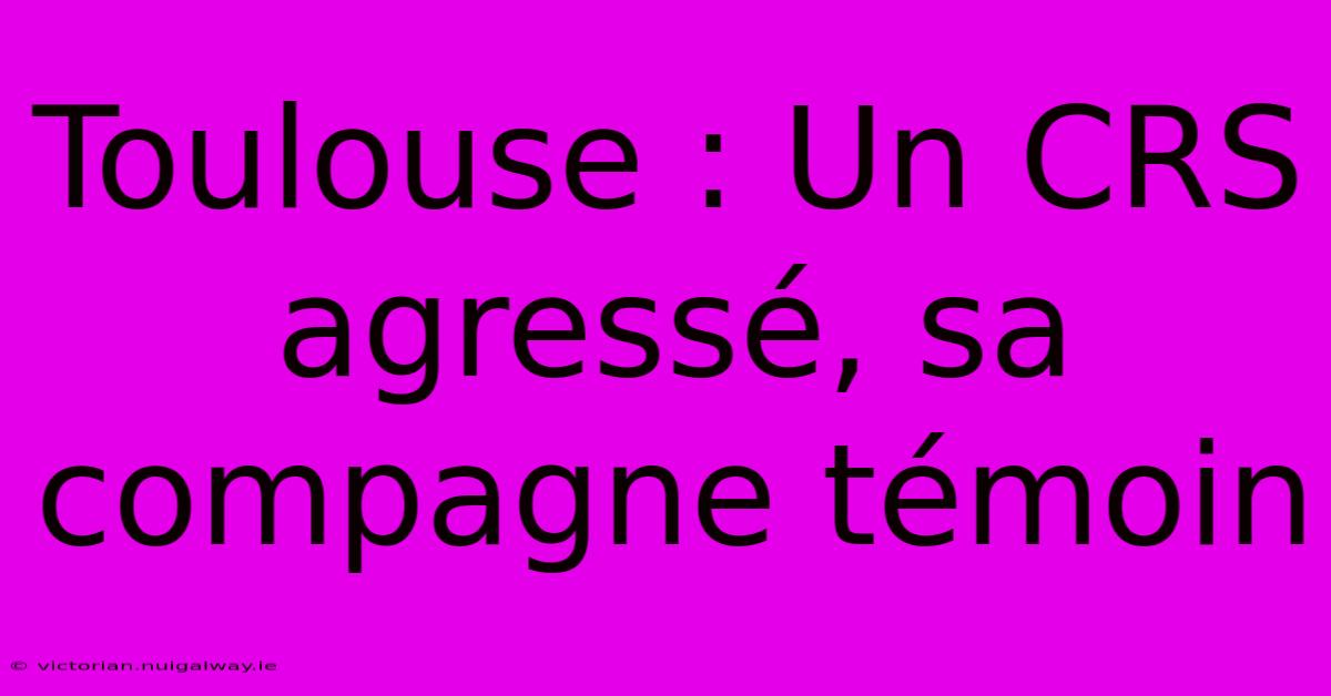 Toulouse : Un CRS Agressé, Sa Compagne Témoin 
