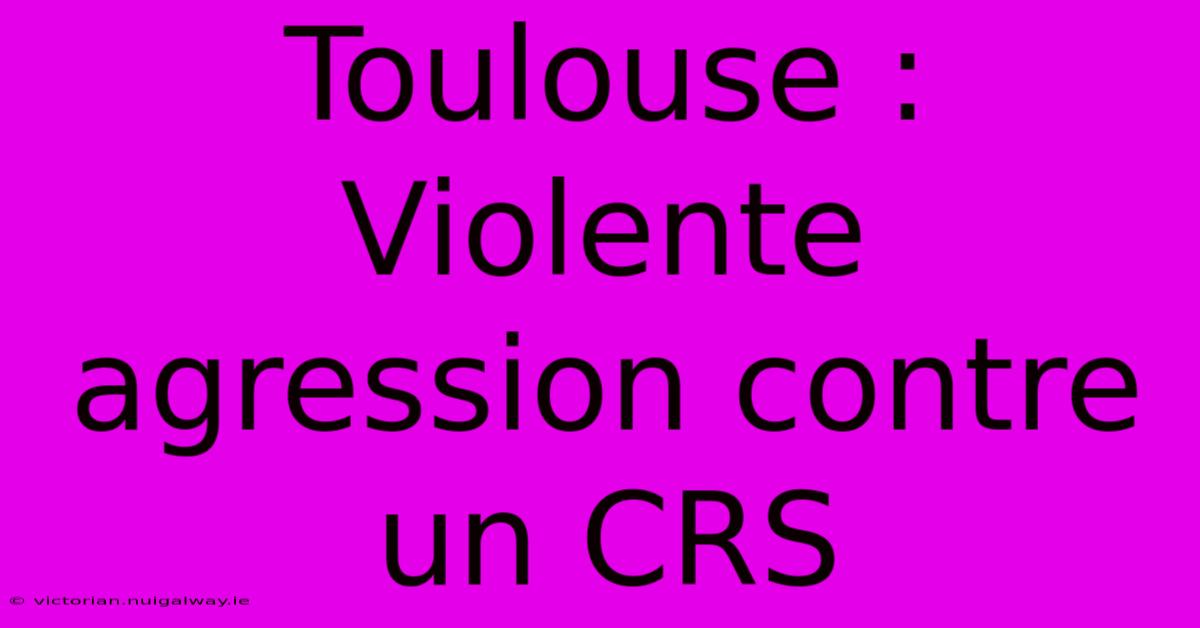 Toulouse : Violente Agression Contre Un CRS