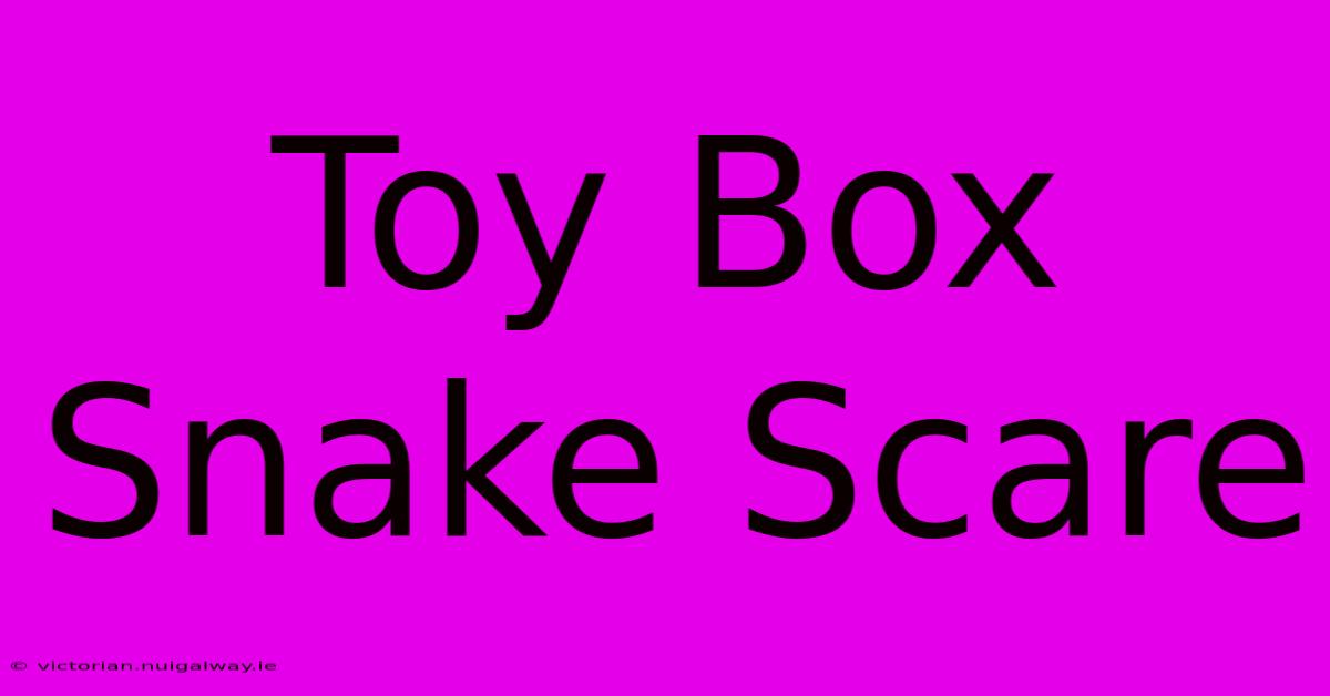 Toy Box Snake Scare